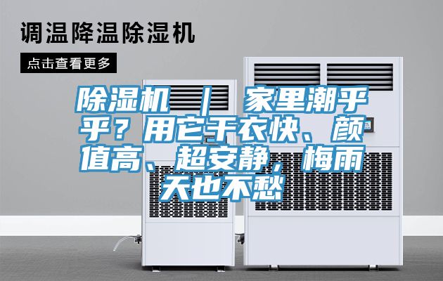 除濕機 ｜ 家里潮乎乎？用它干衣快、顏值高、超安靜，梅雨天也不愁