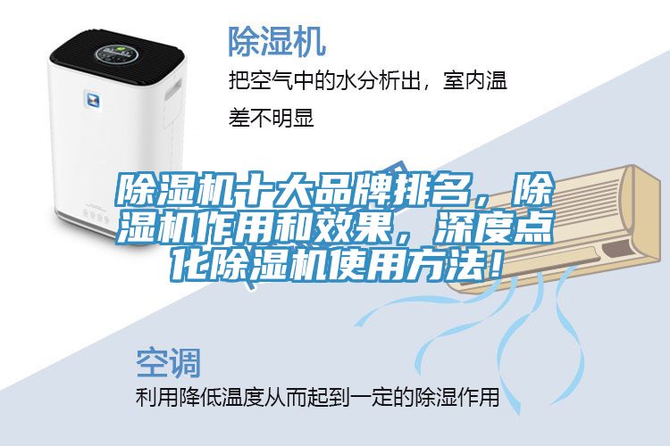 除濕機十大品牌排名，除濕機作用和效果，深度點化除濕機使用方法！