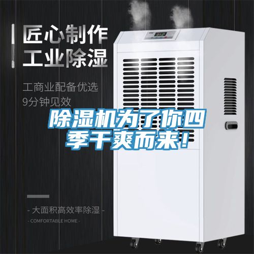除濕機(jī)為了你四季干爽而來！