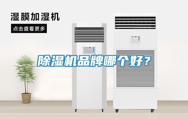 除濕機(jī)品牌哪個(gè)好？