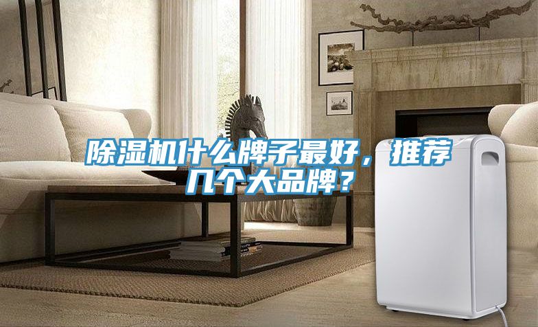 除濕機什么牌子最好，推薦幾個大品牌？