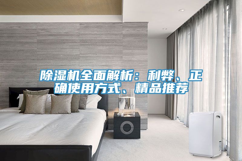 除濕機(jī)全面解析：利弊、正確使用方式、精品推薦