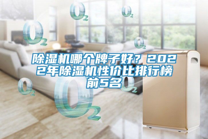 除濕機(jī)哪個(gè)牌子好？2022年除濕機(jī)性價(jià)比排行榜前5名