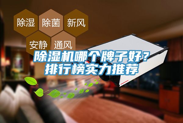 除濕機(jī)哪個(gè)牌子好？排行榜實(shí)力推薦