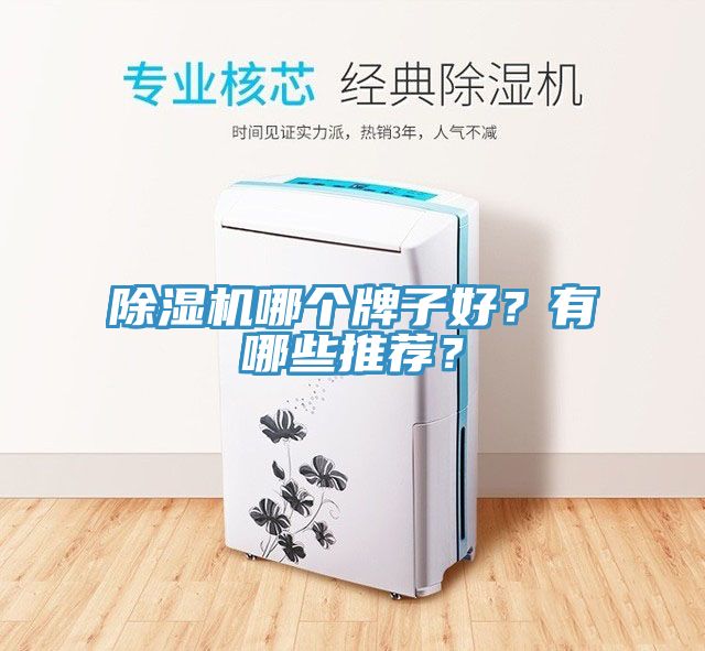 除濕機(jī)哪個(gè)牌子好？有哪些推薦？