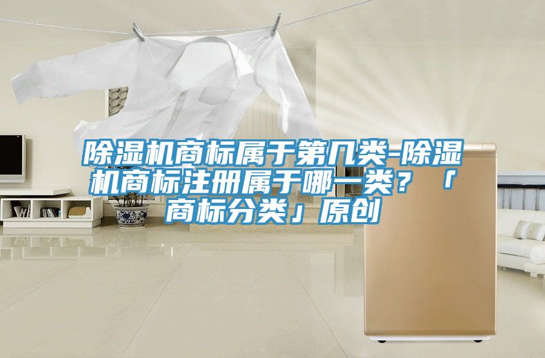 除濕機(jī)商標(biāo)屬于第幾類-除濕機(jī)商標(biāo)注冊(cè)屬于哪一類？「商標(biāo)分類」原創(chuàng)