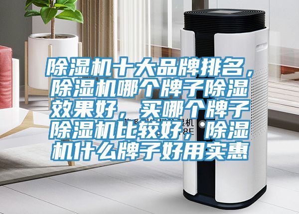 除濕機十大品牌排名，除濕機哪個牌子除濕效果好，買哪個牌子除濕機比較好，除濕機什么牌子好用實惠
