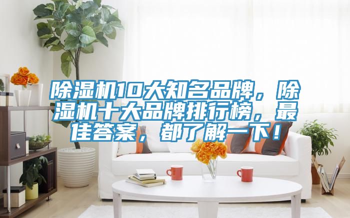 除濕機10大知名品牌，除濕機十大品牌排行榜，最佳答案，都了解一下！