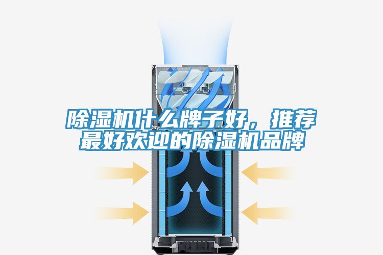 除濕機什么牌子好，推薦最好歡迎的除濕機品牌