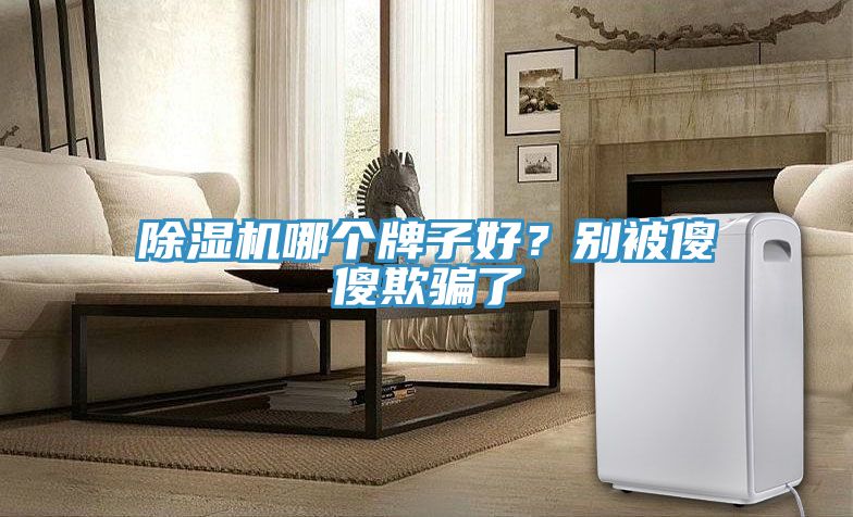 除濕機(jī)哪個(gè)牌子好？別被傻傻欺騙了