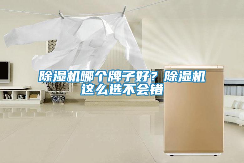 除濕機(jī)哪個(gè)牌子好？除濕機(jī)這么選不會(huì)錯(cuò)