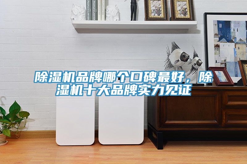 除濕機品牌哪個口碑最好，除濕機十大品牌實力見證
