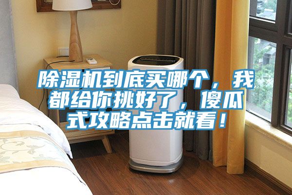 除濕機到底買哪個，我都給你挑好了，傻瓜式攻略點擊就看！