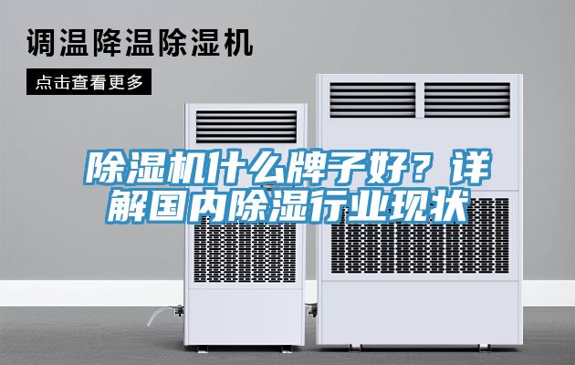 除濕機(jī)什么牌子好？詳解國內(nèi)除濕行業(yè)現(xiàn)狀