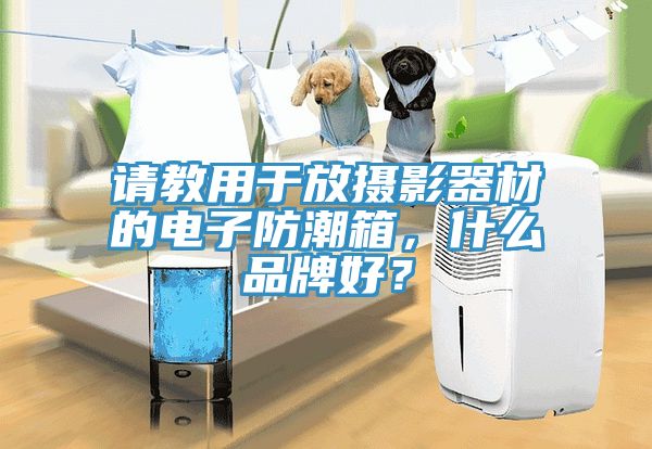 請(qǐng)教用于放攝影器材的電子防潮箱，什么品牌好？