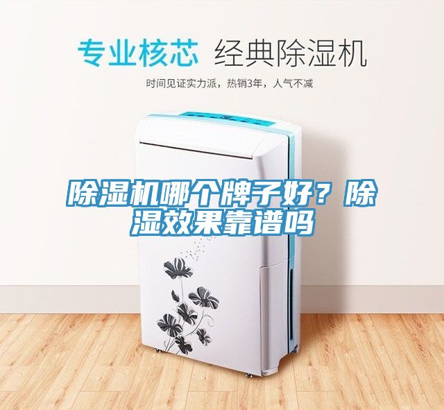 除濕機(jī)哪個(gè)牌子好？除濕效果靠譜嗎