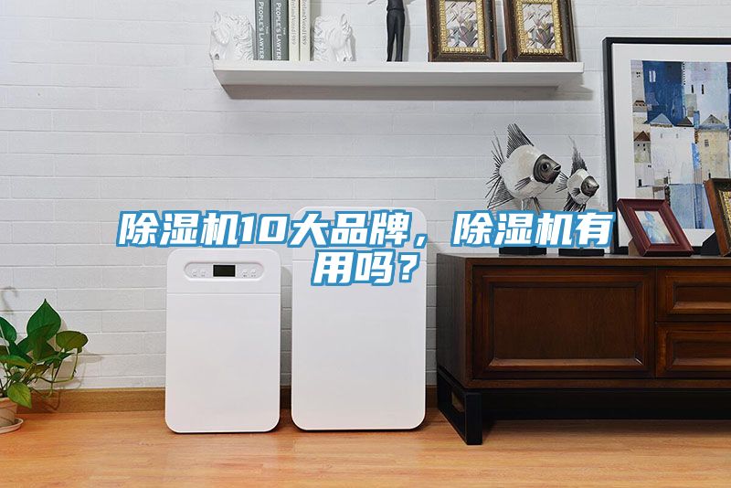 除濕機10大品牌，除濕機有用嗎？