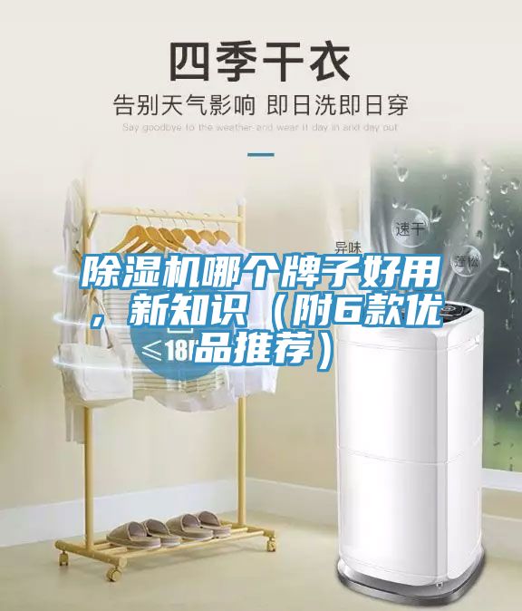 除濕機(jī)哪個(gè)牌子好用，新知識（附6款優(yōu)品推薦）
