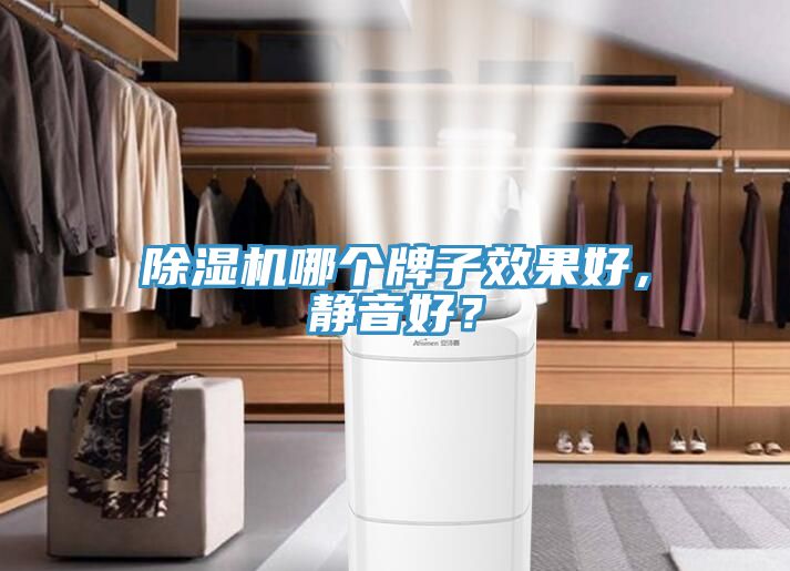 除濕機(jī)哪個(gè)牌子效果好，靜音好？