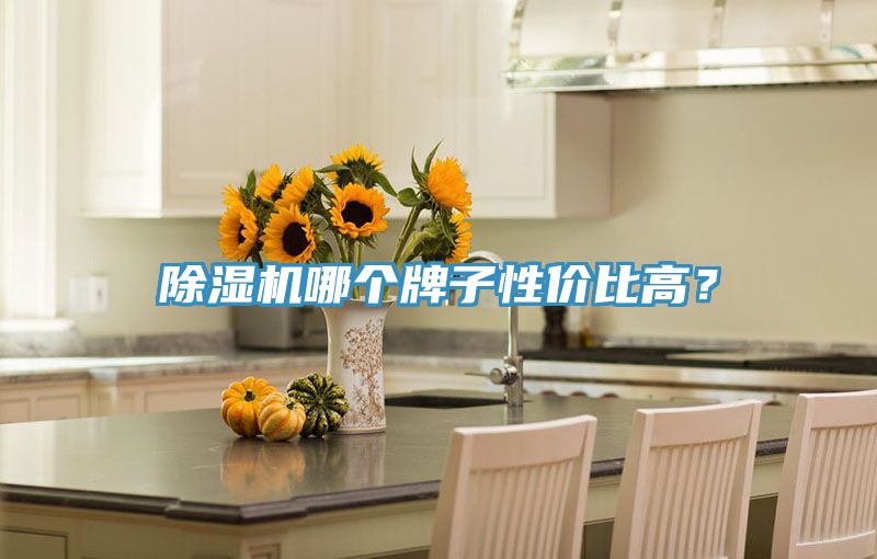 除濕機(jī)哪個(gè)牌子性價(jià)比高？