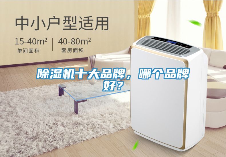 除濕機十大品牌，哪個品牌好？
