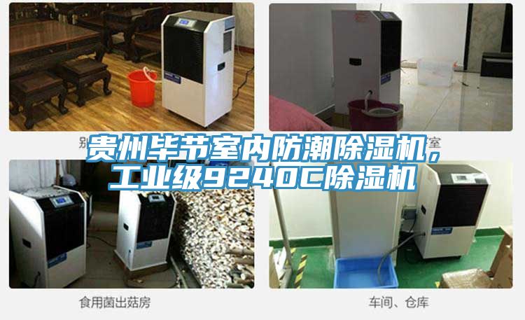 貴州畢節(jié)室內(nèi)防潮除濕機，工業(yè)級9240C除濕機