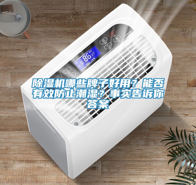 除濕機(jī)哪些牌子好用？能否有效防止潮濕？事實(shí)告訴你答案