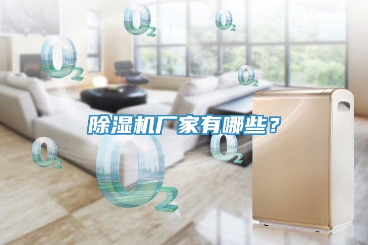 除濕機(jī)廠家有哪些？