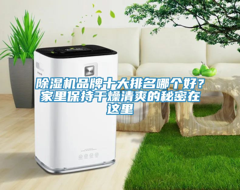 除濕機品牌十大排名哪個好？家里保持干燥清爽的秘密在這里