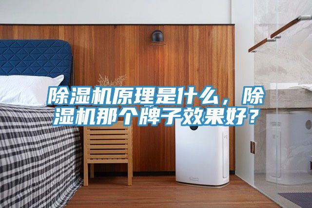 除濕機(jī)原理是什么，除濕機(jī)那個牌子效果好？