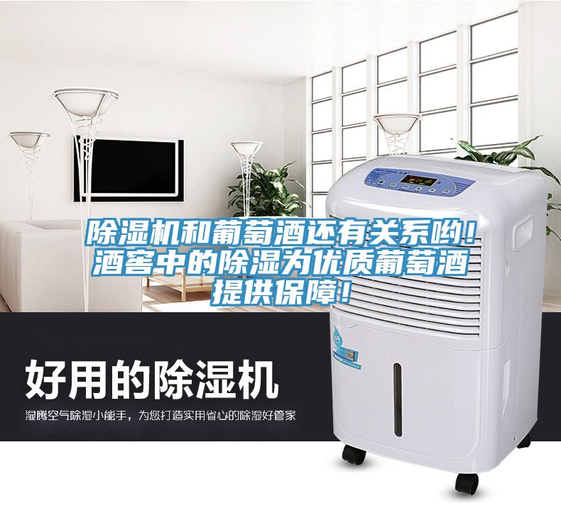 除濕機(jī)和葡萄酒還有關(guān)系喲！酒窖中的除濕為優(yōu)質(zhì)葡萄酒提供保障！