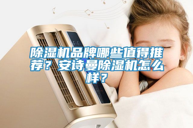 除濕機(jī)品牌哪些值得推薦？安詩(shī)曼除濕機(jī)怎么樣？