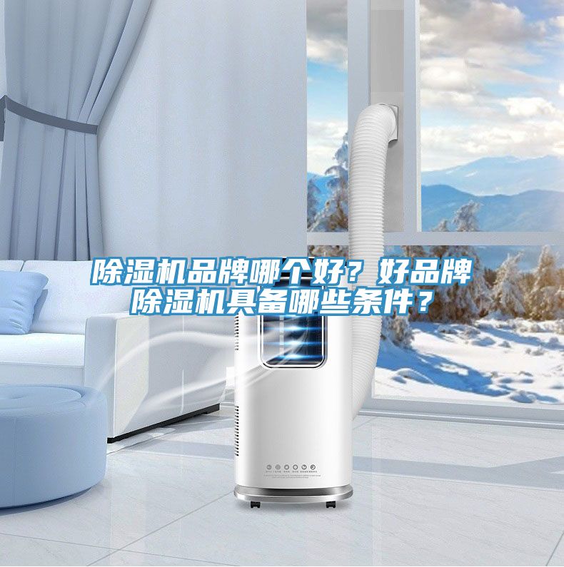 除濕機(jī)品牌哪個(gè)好？好品牌除濕機(jī)具備哪些條件？