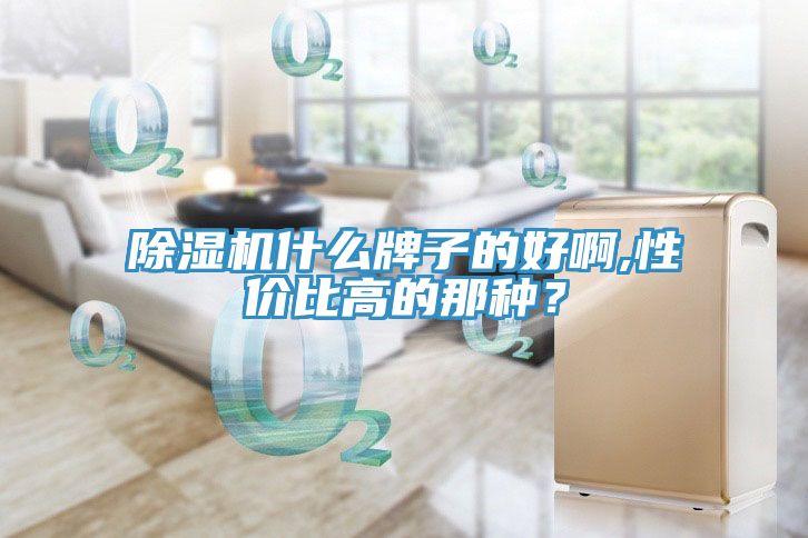 除濕機(jī)什么牌子的好啊,性價(jià)比高的那種？