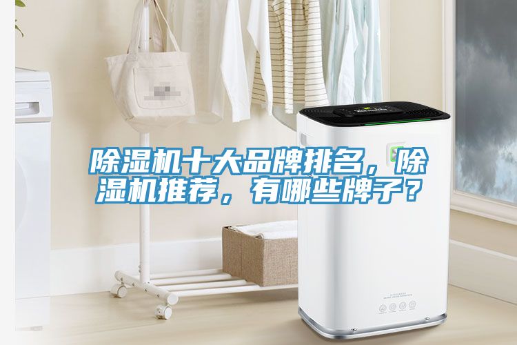 除濕機十大品牌排名，除濕機推薦，有哪些牌子？