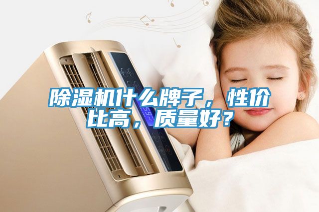 除濕機(jī)什么牌子，性價(jià)比高，質(zhì)量好？