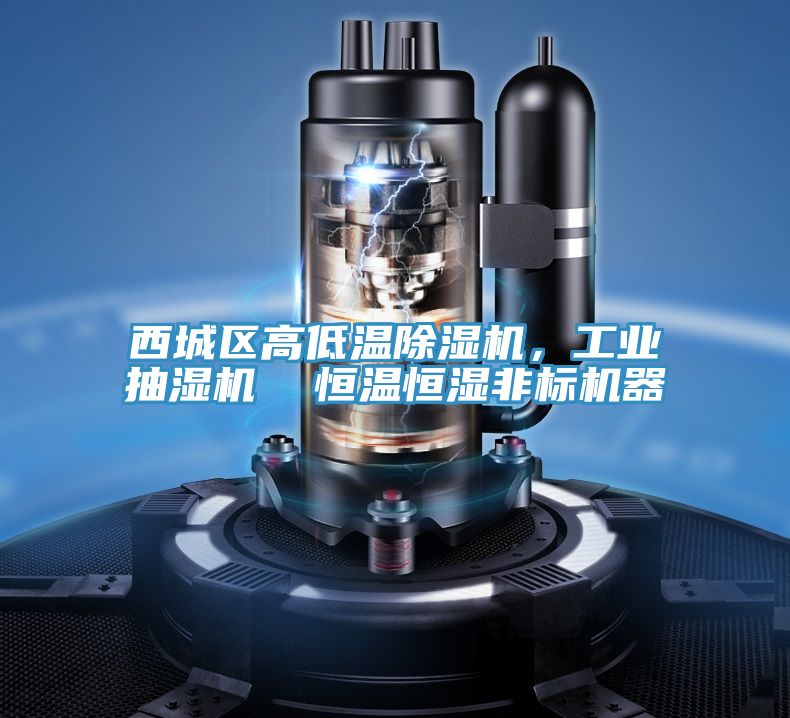 西城區(qū)高低溫除濕機(jī)，工業(yè)抽濕機(jī)  恒溫恒濕非標(biāo)機(jī)器