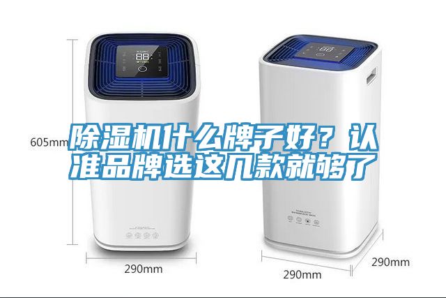 除濕機什么牌子好？認(rèn)準(zhǔn)品牌選這幾款就夠了