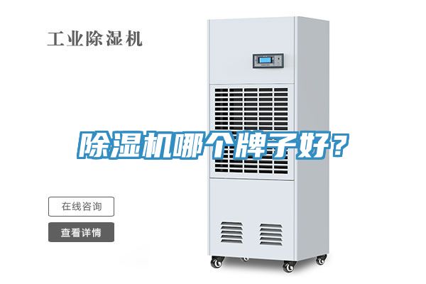 除濕機(jī)哪個(gè)牌子好？