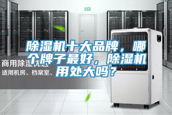 除濕機十大品牌，哪個牌子最好，除濕機用處大嗎？