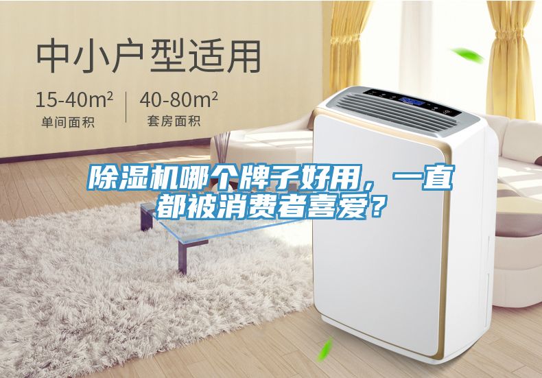 除濕機(jī)哪個(gè)牌子好用，一直都被消費(fèi)者喜愛？
