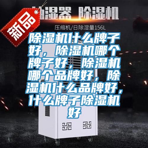 除濕機什么牌子好，除濕機哪個牌子好，除濕機哪個品牌好，除濕機什么品牌好，什么牌子除濕機好