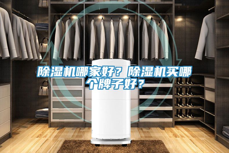除濕機(jī)哪家好？除濕機(jī)買哪個(gè)牌子好？