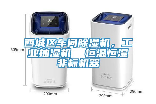 西城區(qū)車(chē)間除濕機(jī)，工業(yè)抽濕機(jī)  恒溫恒濕非標(biāo)機(jī)器