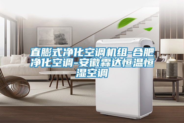 直膨式凈化空調(diào)機組-合肥凈化空調(diào)-安徽霖達(dá)恒溫恒濕空調(diào)