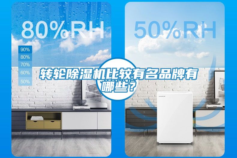 轉輪除濕機比較有名品牌有哪些？